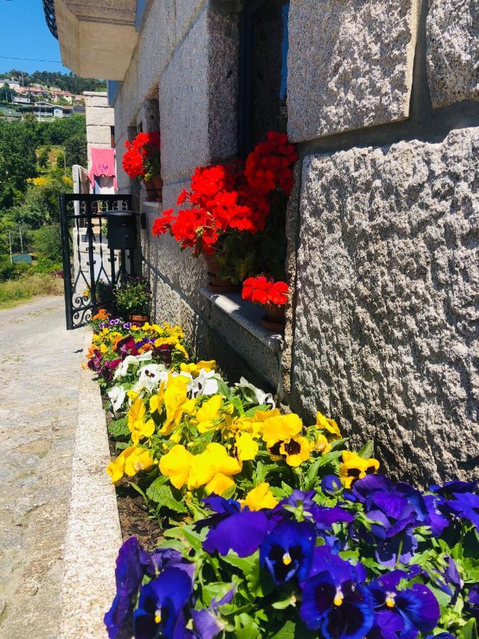 Dourobluehouse Villa Marco de Canavezes Dış mekan fotoğraf